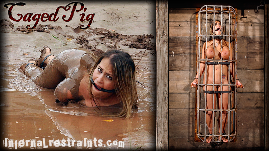 Caged Pig