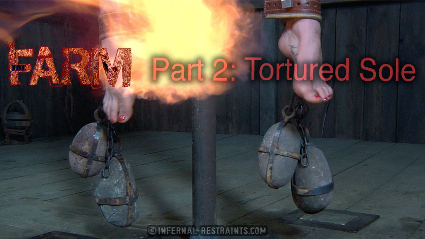 The Farm: Part 2 Tortured Sole
