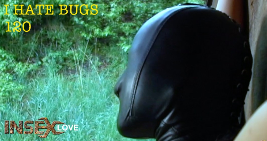 I Hate Bugs